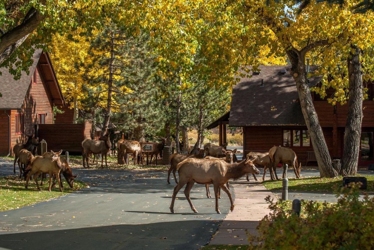 Rams Horn Village Resort Estes Park Luaran gambar